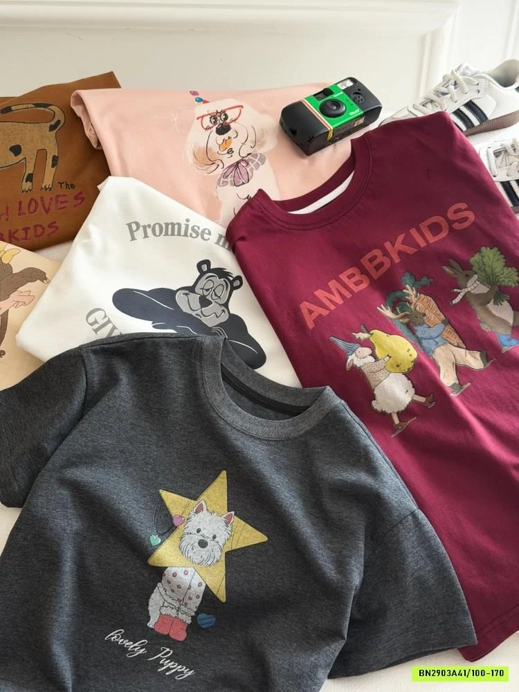 ÁO THUN IN HÌNH 26B052 MỚI AMBB