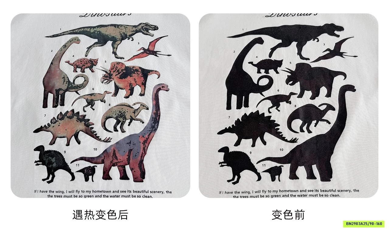 ÁO KHỦNG LONG MIX SHORT RẰN RI AOAOKIDS