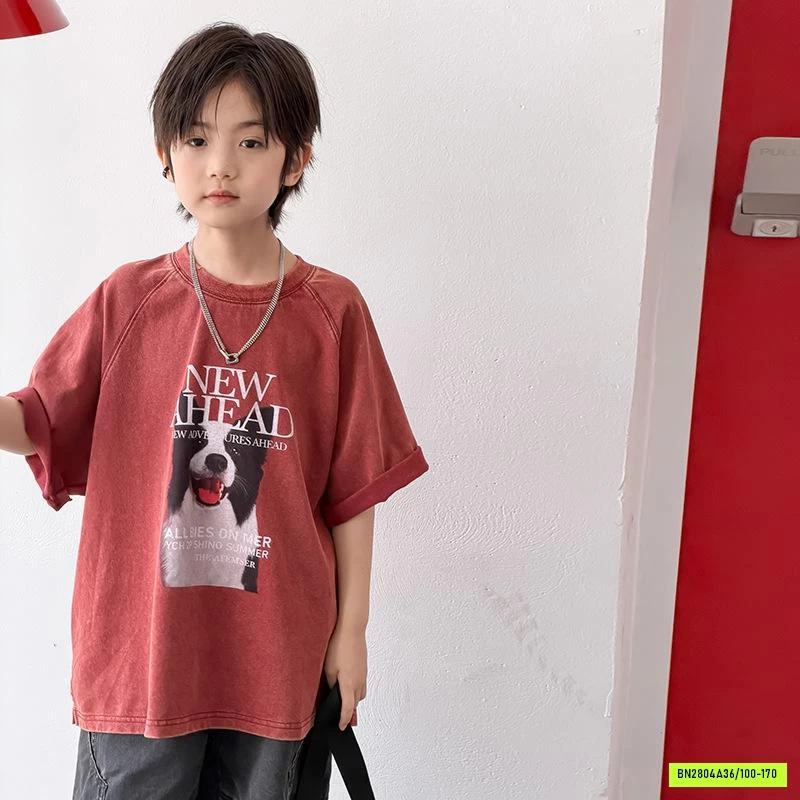 ÁO THUN CÚN 26B174 AMBB