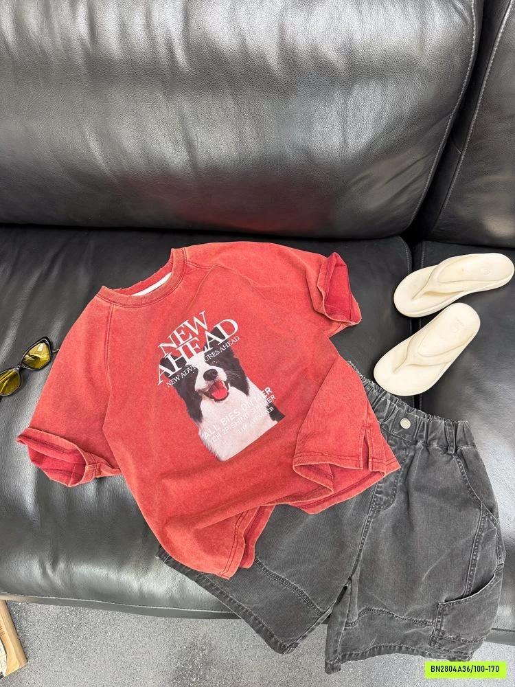 ÁO THUN CÚN 26B174 AMBB