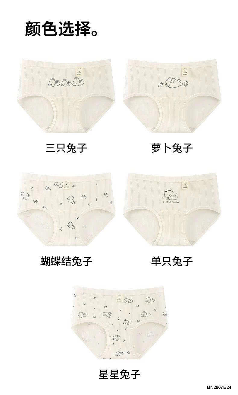 SET 5 QUẦN CHIP COTTON CHO MẸ VÀ GÁI LỚN