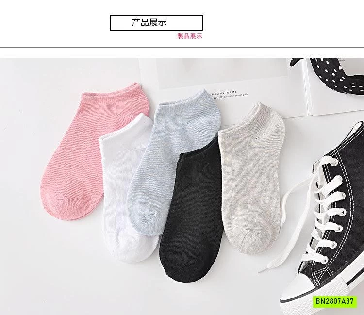 SÉT 10Đ TẤT NỮ TRƠN MÀU