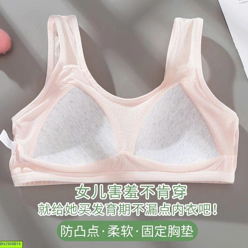 ÁO LÁ HỌC SINH CÓ ĐỆM MÚT