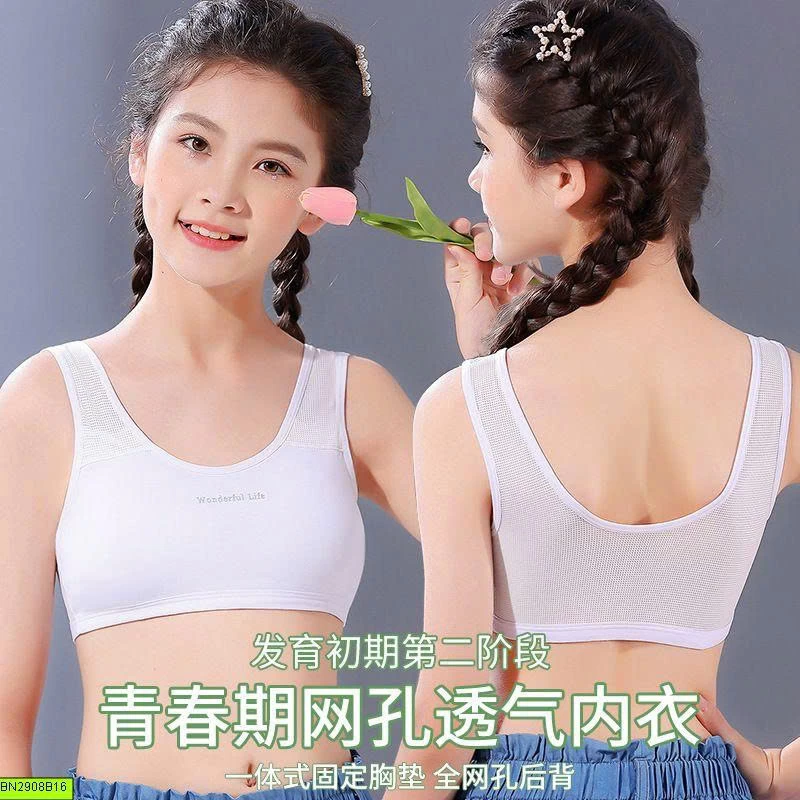 ÁO LÁ HỌC SINH CÓ ĐỆM MÚT
