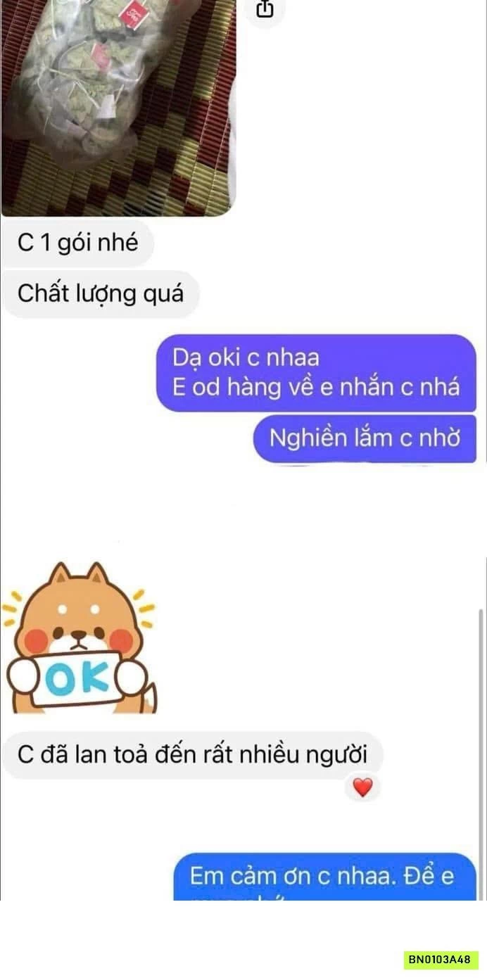 COMBO 2 TÚI TRÀ THẢI ĐỘC SENNA PHAN TẢ DIỆP