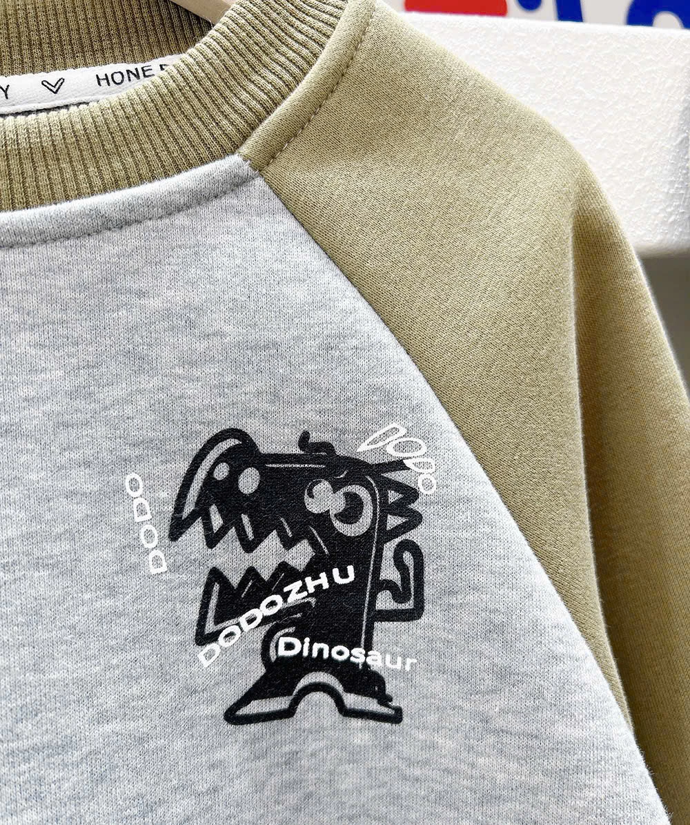 ÁO NỈ PHỐI MÀU KACADY BT