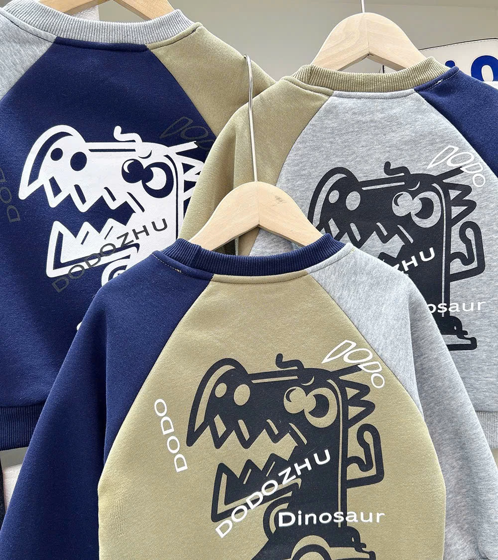 ÁO NỈ PHỐI MÀU KACADY BT