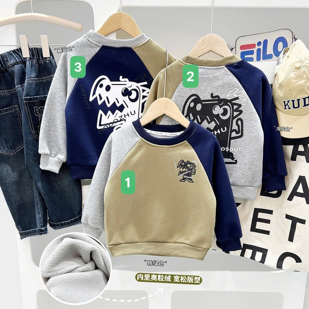 ÁO NỈ PHỐI MÀU KACADY BT