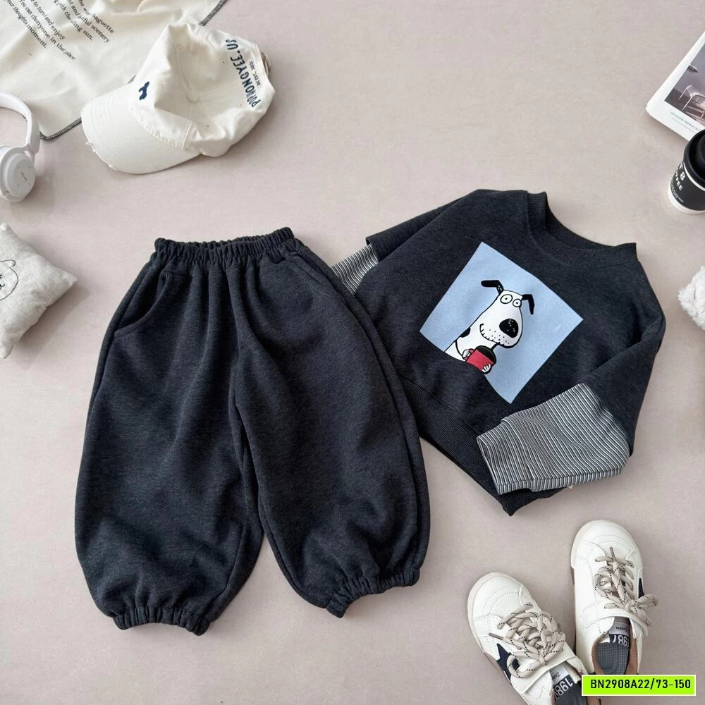 BỘ NỈ CÚN XÁM