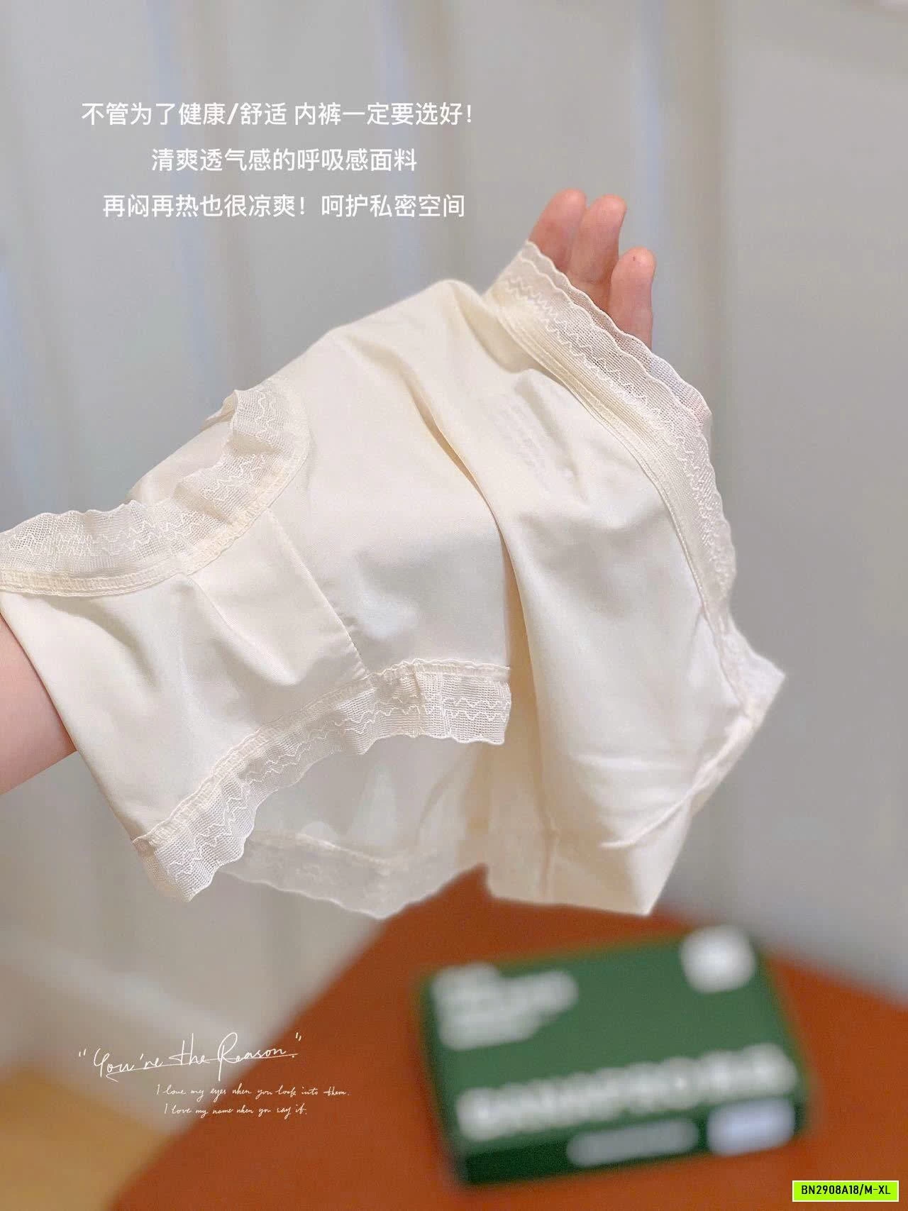 HỘP 6 QUẦN CHIP ICE SILK BANAPRO