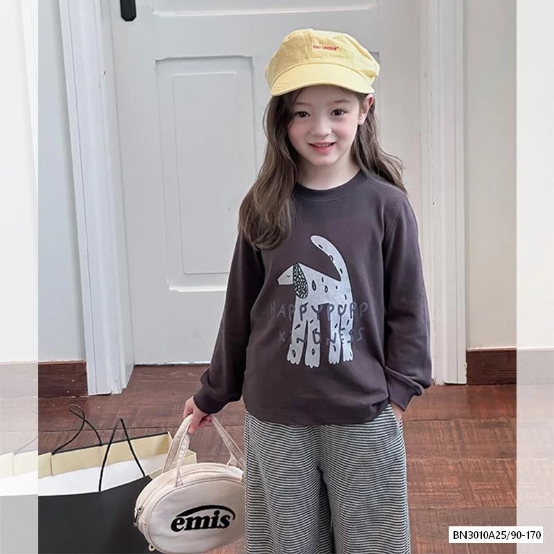 ÁO THUN HÌNH 25F020 9 MẪU AMBB