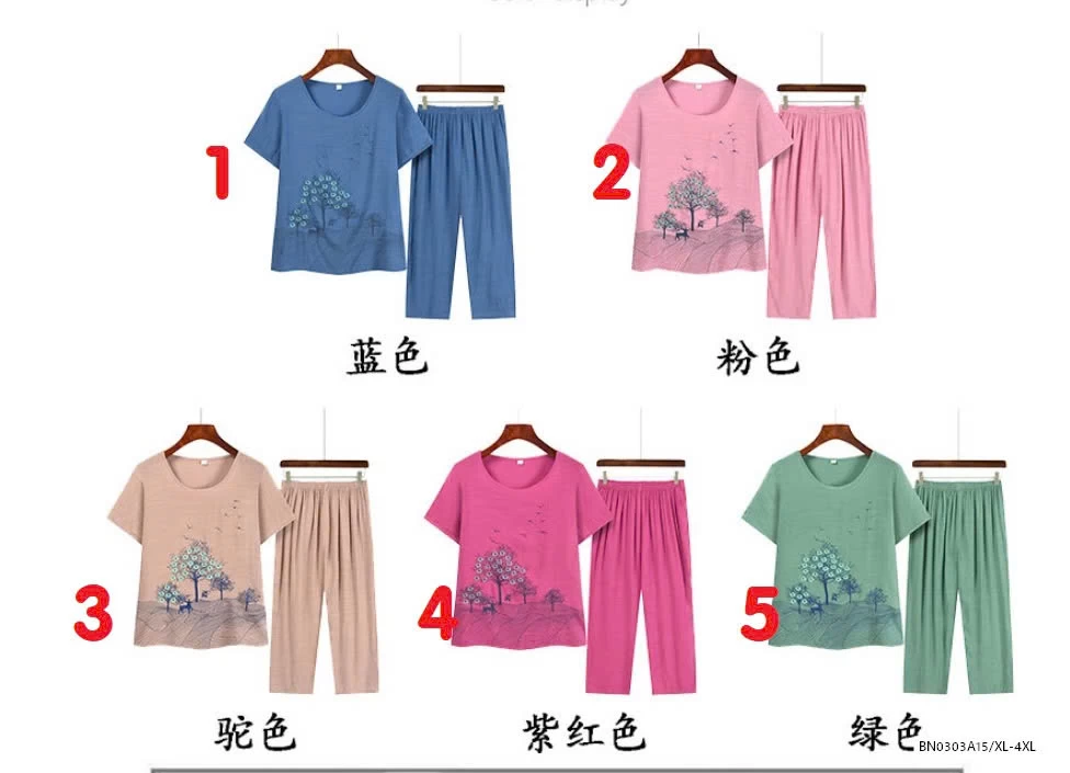 BỘ LANH TRUNG NIÊN HỌA TIẾT