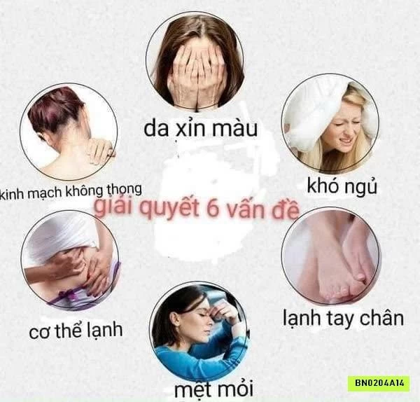 THẢO DƯỢC NGÂM CHÂN YANGMEI