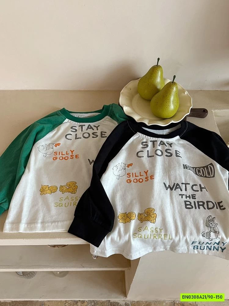 ÁO THUN HÌNH PHỐI MÀU TAY