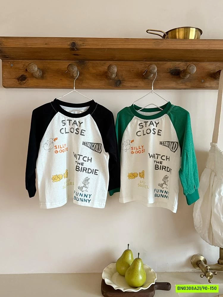 ÁO THUN HÌNH PHỐI MÀU TAY