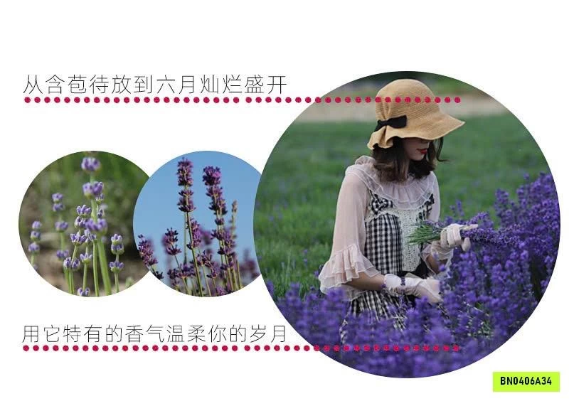 SET 5 GÓI HOA OẢI HƯƠNG GIẤY KHÔ LOẠI 5A